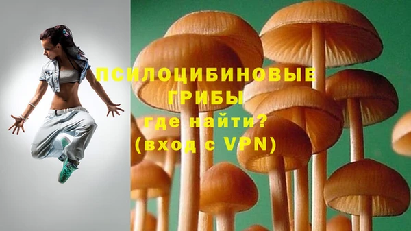 спайс Арсеньев
